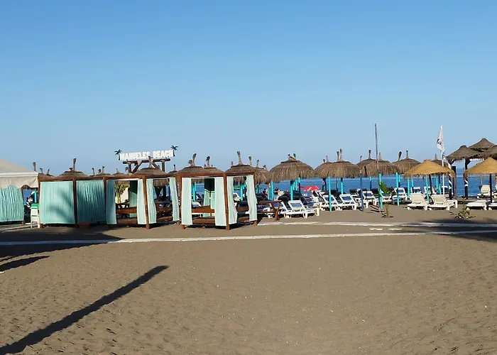 Calidad, Terraza Y Piscina A 500M De La Playa