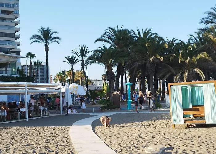 Calidad, Terraza Y Piscina A 500M De La Playa